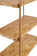 Worlds Away Antique Brass Etagere With Shelves In Burl Wood