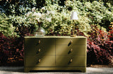 Worlds Away Six Drawer Rounded Edge Chest With Brass Beetle Knob In Olive Green Matte Lacquer