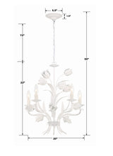 Crystorama Southport 5 Light Wet White Chandelier