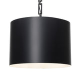 Crystorama Brian Patrick Flynn Alston 6 Light Matte Black + White Pendant