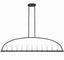 Crystorama Abbott 11 Light Black Linear Chandelier
