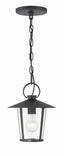 Crystorama Andover 1 Light Matte Black Outdoor Pendant