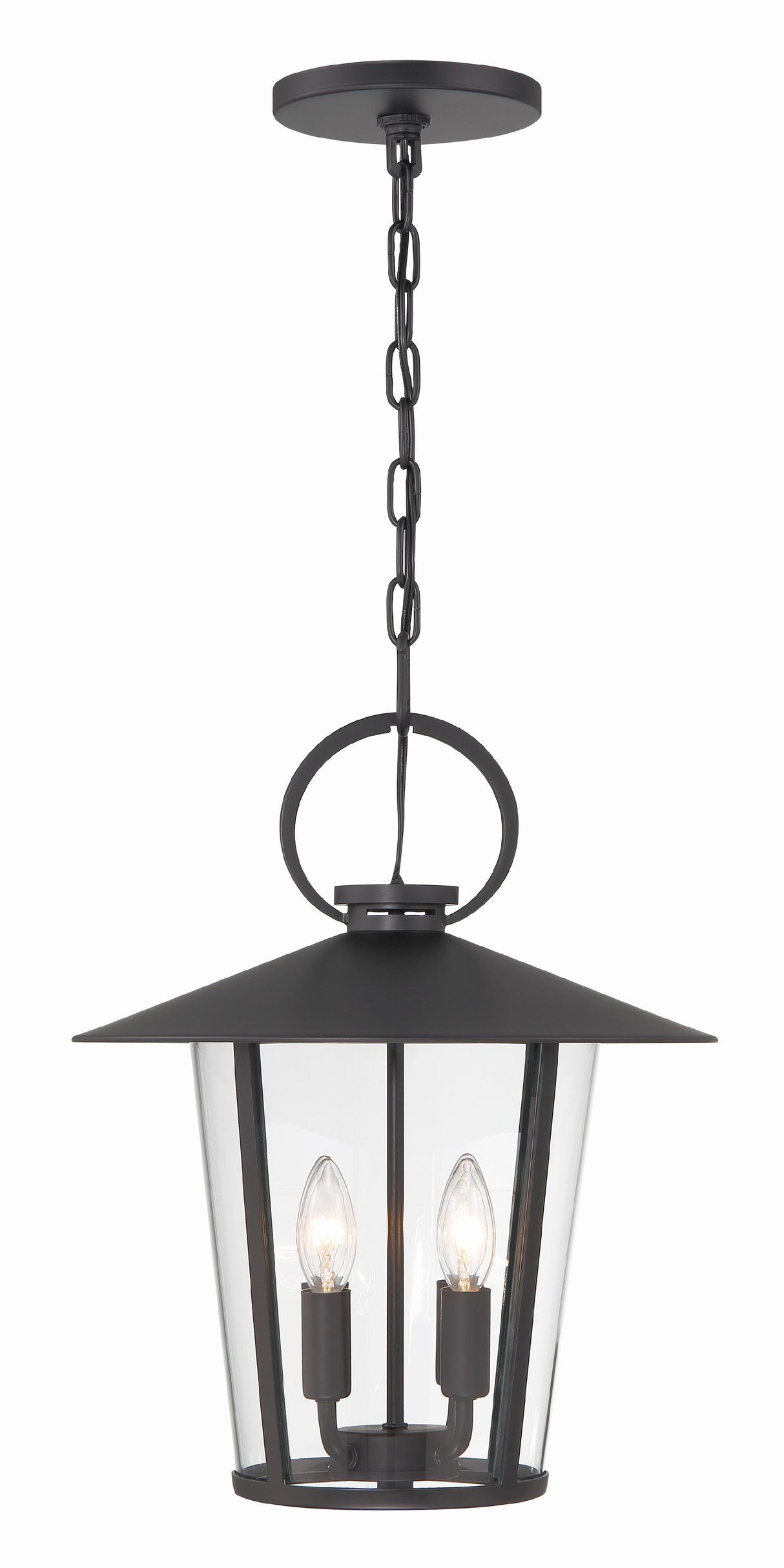 Crystorama Andover 4 Light Matte Black Outdoor Pendant