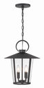 Crystorama Andover 4 Light Matte Black Outdoor Pendant