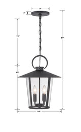 Crystorama Andover 4 Light Matte Black Outdoor Pendant