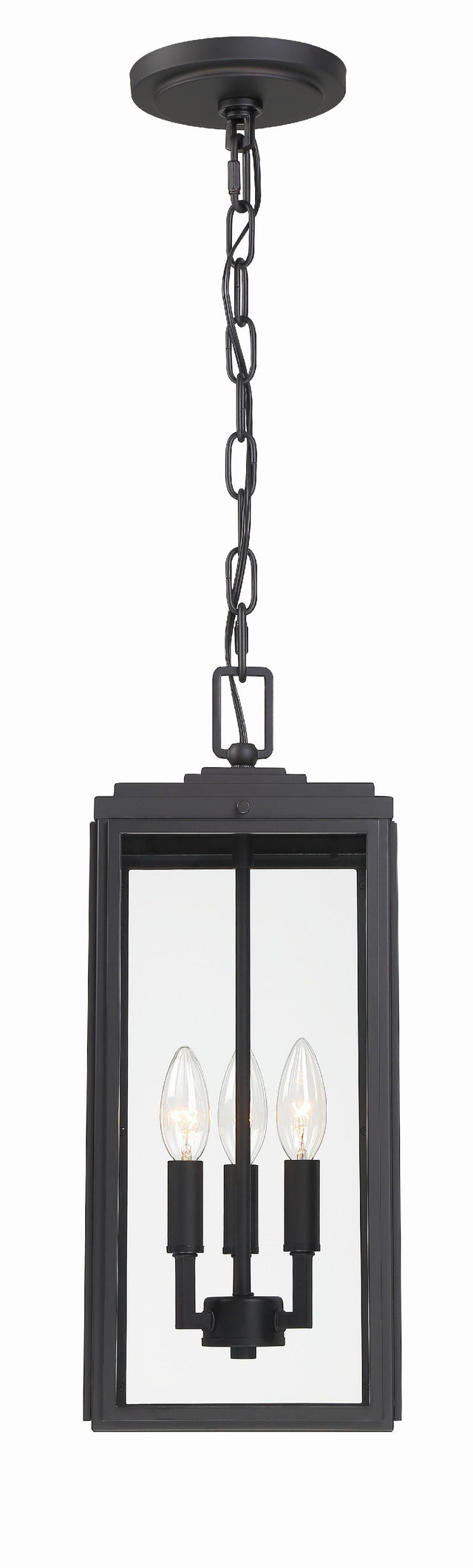 Crystorama Byron 3 Light Matte Black Outdoor Pendant