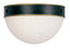 Crystorama Brian Patrick Flynn Capsule 2 Light Matte Black + Textured Gold Outdoor Flush Mount