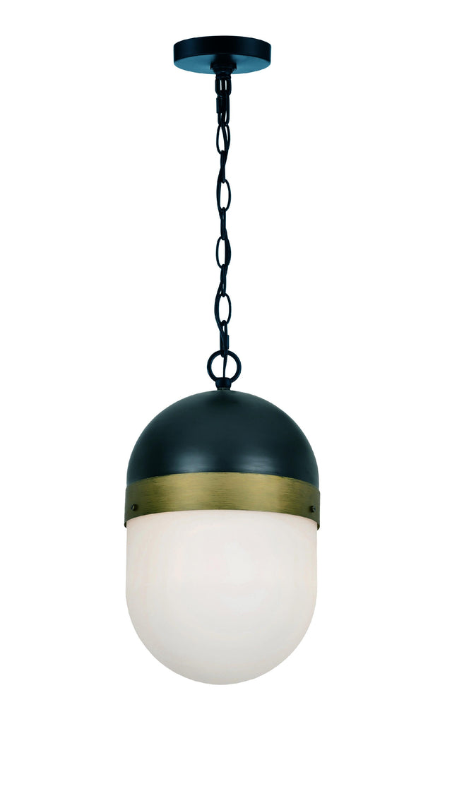 Crystorama Brian Patrick Flynn Capsule 1 Light Matte Black + Textured Gold Outdoor Pendant
