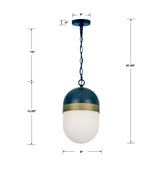 Crystorama Brian Patrick Flynn Capsule 1 Light Matte Black + Textured Gold Outdoor Pendant