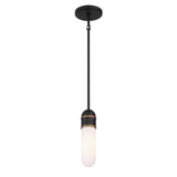 Crystorama Brian Patrick Flynn Capsule 1 Light LED Matte Black + Textured Gold Mini Pendant