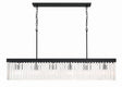 Crystorama Emory 6 Light Black Forged Linear Chandelier