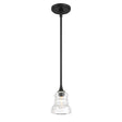 Crystorama Gregory 1 Light Matte Black Mini Pendant