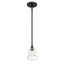 Crystorama Gregory 1 Light Matte Black Mini Pendant