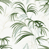 Kravet DESIGN W4305 31 Wallpaper