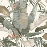 Kravet DESIGN W4307 311 Wallpaper