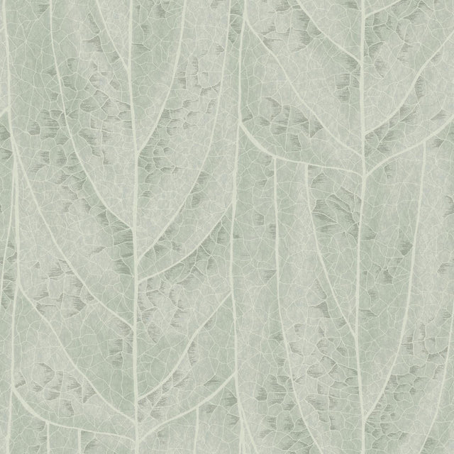 Kravet DESIGN W4308 135 Wallpaper