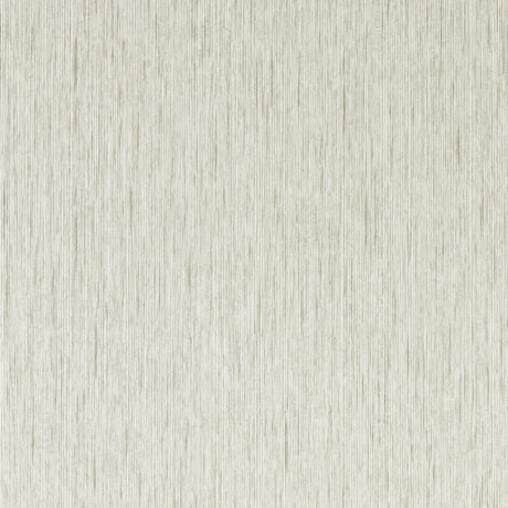 Clarke & Clarke ASPER PEBBLE WP Wallpaper