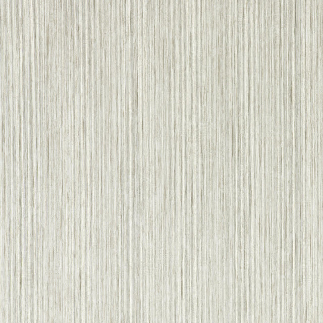 Clarke & Clarke ASPER PEBBLE WP Wallpaper