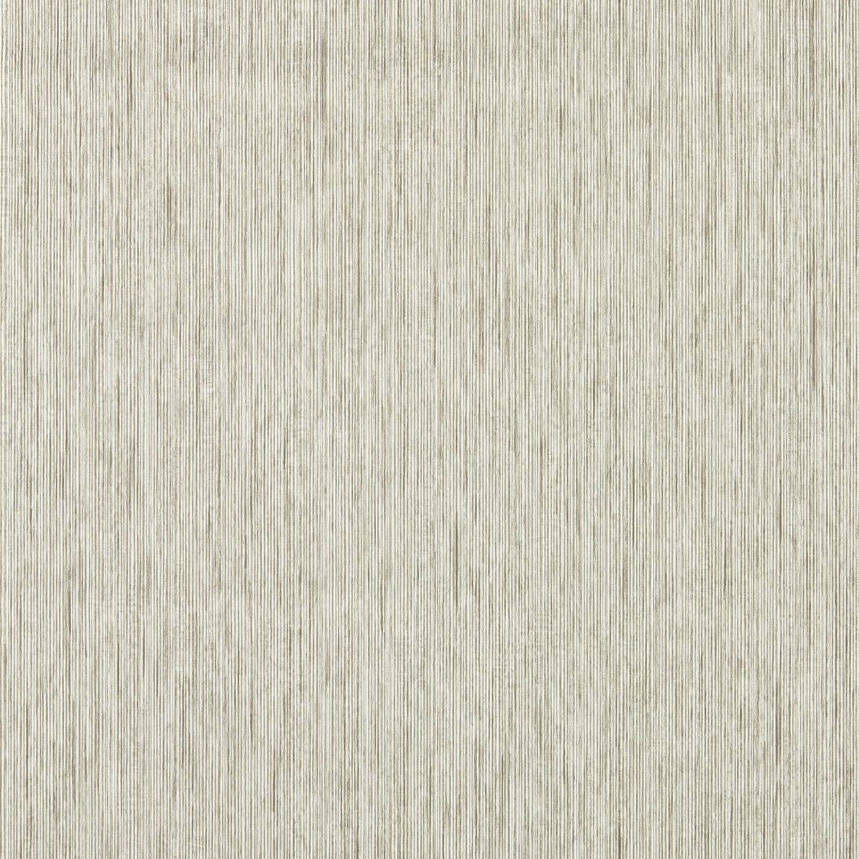 Clarke & Clarke ASPER PUTTY WP Wallpaper