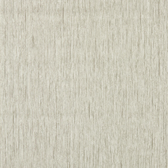 Clarke & Clarke ASPER PUTTY WP Wallpaper