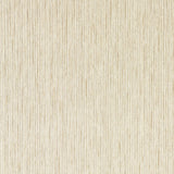 Clarke & Clarke ASPER SAHARA WP Wallpaper