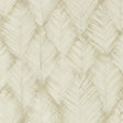 Clarke & Clarke FOLIUS SAHARA WP Wallpaper