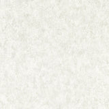 Clarke & Clarke MARMOR ASH WP Wallpaper