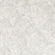 Clarke & Clarke SILVAN PUTTY WP Wallpaper