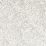 Clarke & Clarke SILVAN PUTTY WP Wallpaper