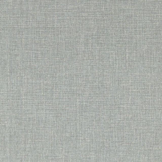 Clarke & Clarke SIRPO SLATE WP Wallpaper