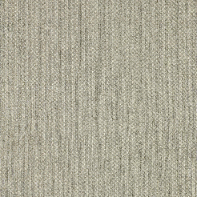 Clarke & Clarke TEXO PEBBLE WP Wallpaper