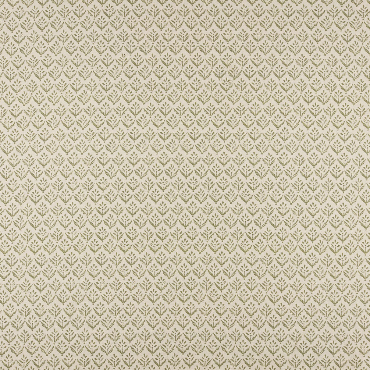 Maxwell ASTER #503 SAGE Fabric
