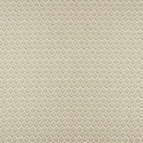 Maxwell ASTER #503 SAGE Fabric