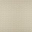Maxwell ASTER #503 SAGE Fabric