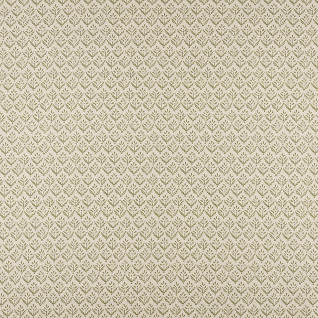 Maxwell ASTER #503 SAGE Fabric