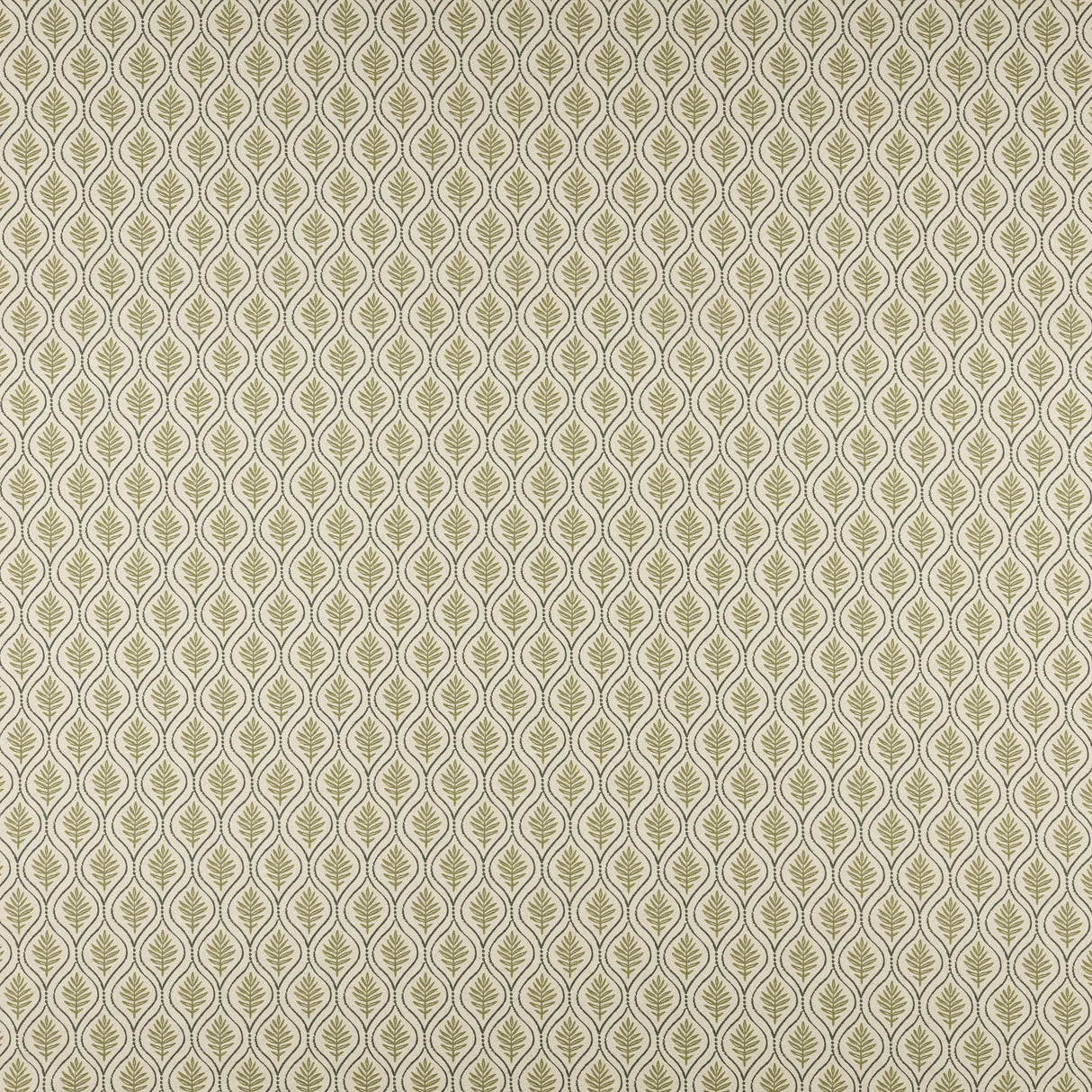 Maxwell BIRCH #505 OLIVE Fabric