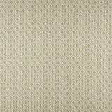 Maxwell BIRCH #505 OLIVE Fabric