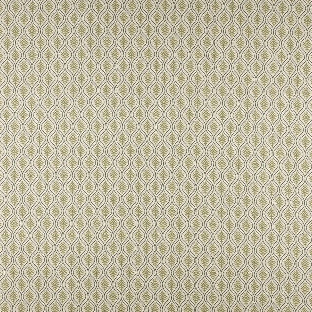 Maxwell BIRCH #505 OLIVE Fabric
