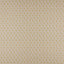 Maxwell BIRCH #538 TWINE Fabric