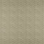 Maxwell KODI #508 FERN Fabric