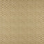 Maxwell KODI #539 GOLD Fabric
