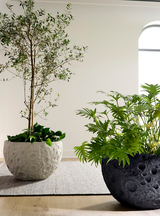 Phillips Collection Crater White Stone Planter