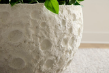 Phillips Collection Crater White Stone Planter