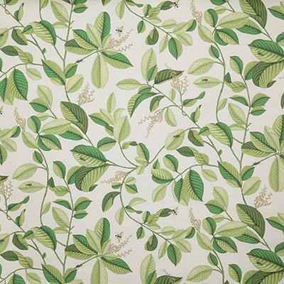 Pindler SPRINGDALE PALM Fabric