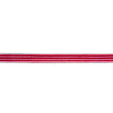 Schumacher Pink Arya Stripe Hand Block Trim