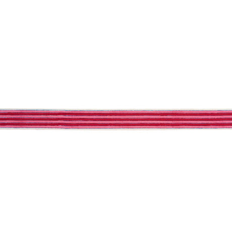 Schumacher Pink Arya Stripe Hand Block Trim