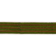 Schumacher Green Arya Stripe Hand Block Trim