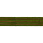 Schumacher Green Arya Stripe Hand Block Trim