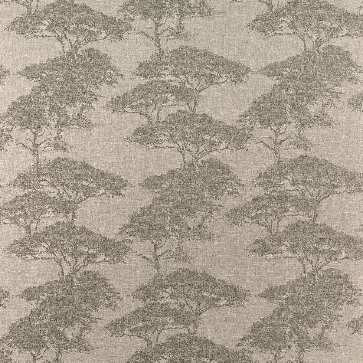 Thibaut Torrey Pines Beige And Black Fabric