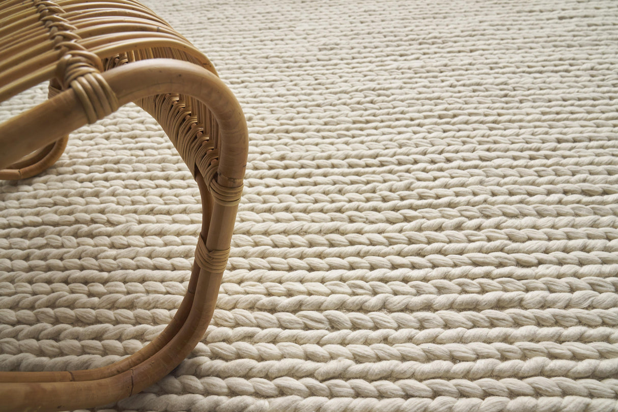 Exquisite Rugs Arlow Handwoven Polyester/Cotton 2313 Ivory 2' x 3' Area Rug